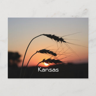 Kansas Sunset Postcard Postkarte