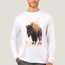 Kansas-Territorium-Tier Amerikanischer Bison