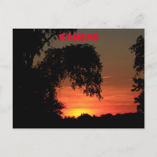 Kansas Tree Silhouette Sunset Postkarte