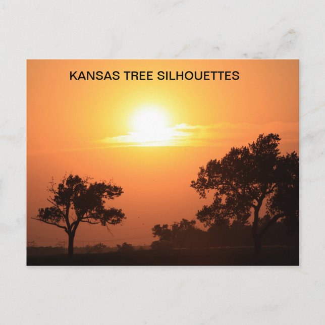 KANSAS TREE-SILHOUETTEN POSTKARTE (Vorderseite)