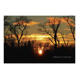 Kansas Tree Silhouetten Sunset Foto Poster.
