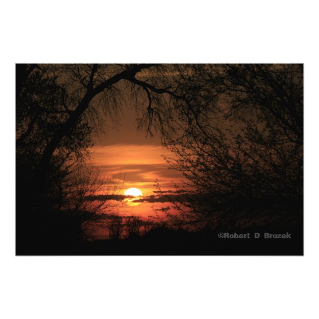 Kansas Trees Sunset Foto Poster. (Vorne)