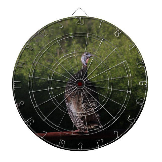 Kansas Turkey Dart Board Dartscheibe (vorne)