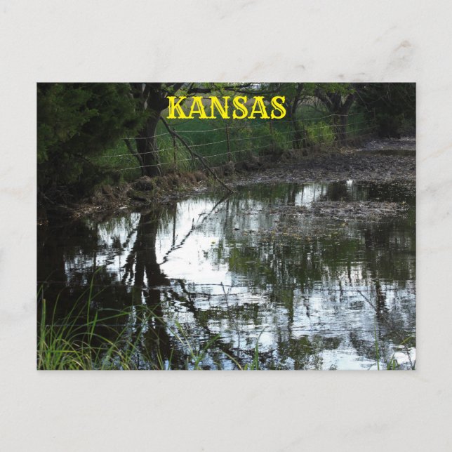 Kansas überschwemmen Wasser in einer Weide Post Ca Postkarte (Vorderseite)