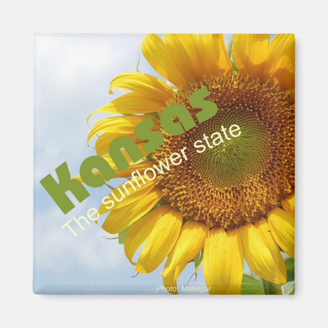 Kansas USA Sonnenblume Staat Souvenir Kühlschrankm Magnet (Vorne)