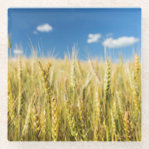Kansas-Weizen Glasuntersetzer