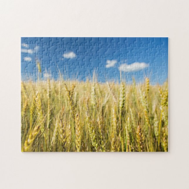 Kansas-Weizen Puzzle (Horizontal)