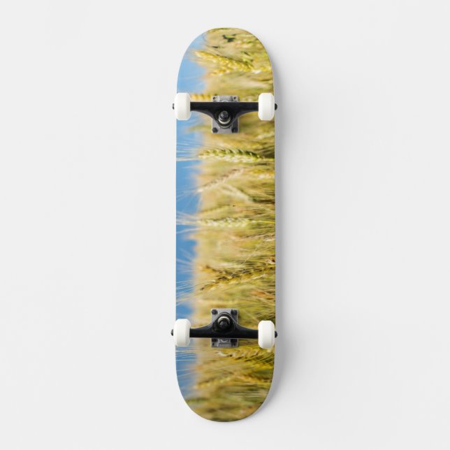 Kansas-Weizen Skateboard (Vorderseite)