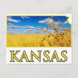 Kansas Wheat Field Postkarte