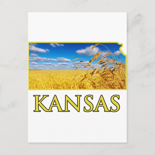Kansas Wheat Field Postkarte (Vorderseite)