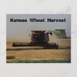 Kansas Wheat Harvest Post Card Postkarte