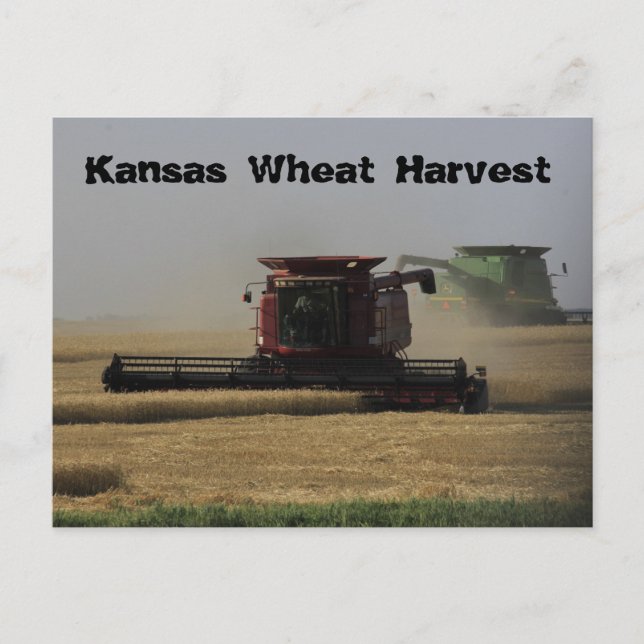 Kansas Wheat Harvest Post Card Postkarte (Vorderseite)