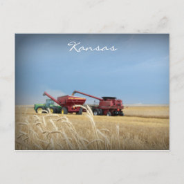 Kansas Wheat Harvest Postcard Postkarte
