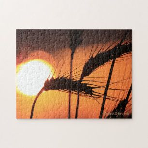 Kansas Wheat Sunset PUZZLE