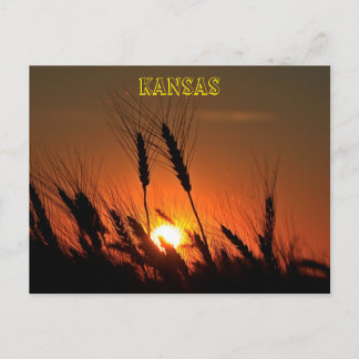 Kansas Wheat Sunset Silhouette Postkarte