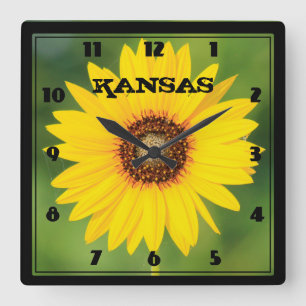 Kansas Wild Sunflower Closeup Square Uhr