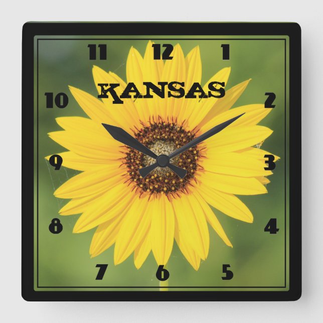 Kansas Wild Sunflower Closeup Square Uhr (Vorderseite)