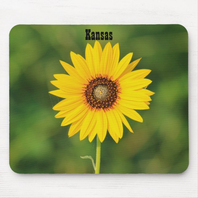 Kansas Wild Sunflower Mousepad (Vorne)