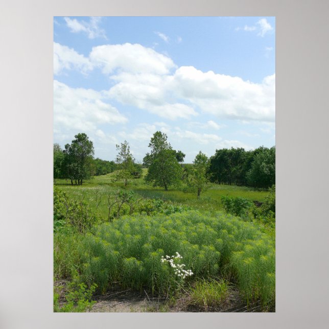 Kansas Wildblumen und Wiesen Poster (Vorne)