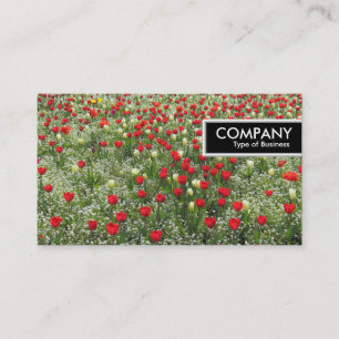 Kantentag - Bett aus Tulpen Visitenkarte
