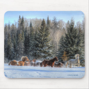 Kantern, Laufpferde im Winterschnee-Foto Mousepad