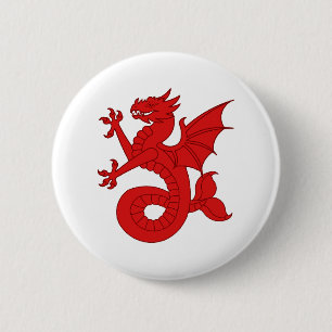 Kanton Seashire Populace Abzeichen Button