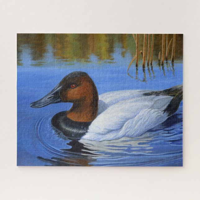 Kanvasback Duck Baden, Schilf, Acrylmalerei Puzzle (Horizontal)