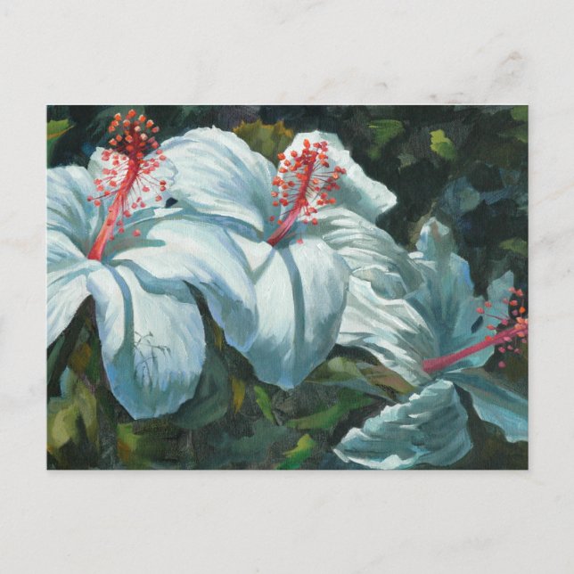 Kao Kao 6 Postkarte (Vorderseite)