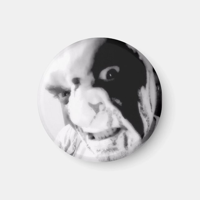 Kaos Anubis BLoody Face Good vs Evil Magnet (Vorne)