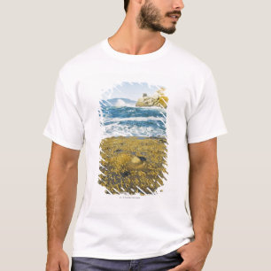 Kap Kiwanda und der Pazifische Ozean T-Shirt