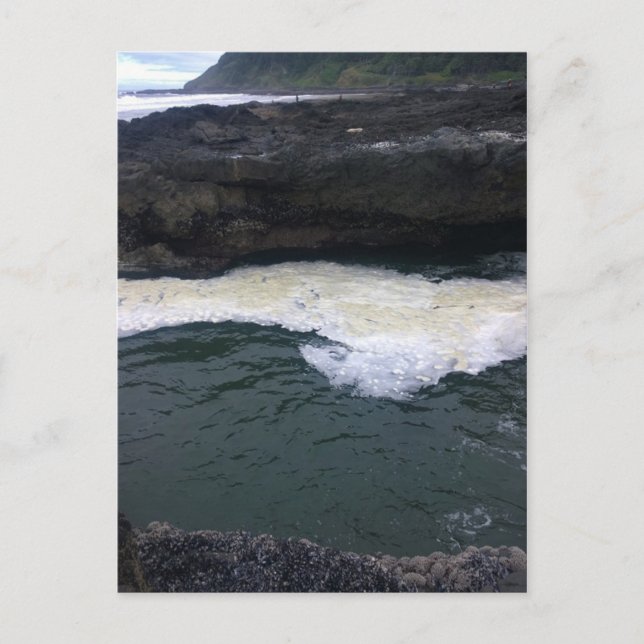 Kap Perpetua, Küste von Oregon Postkarte (Vorderseite)