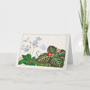 Kap Primrose, Flammenviolett von Tanigami Konan Karte