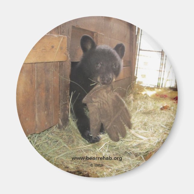 Kapalua mit Handschuh - Magnet (Vorne)