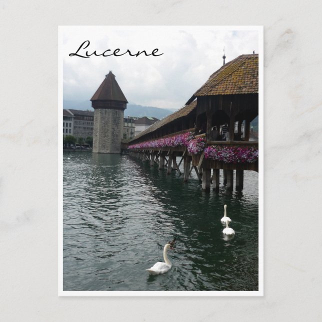 Kapellbrücke Schwäne Postkarte (Vorderseite)