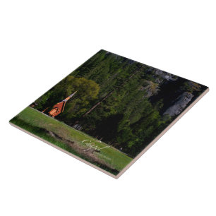 Kapelle bei Yosemite Fliese