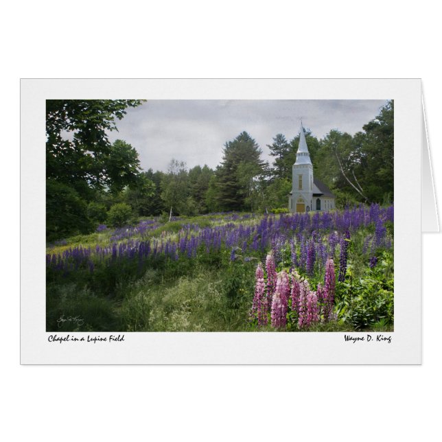 Kapelle in einer Lupine-Feldkarte (Vorderseite (Horizontal))