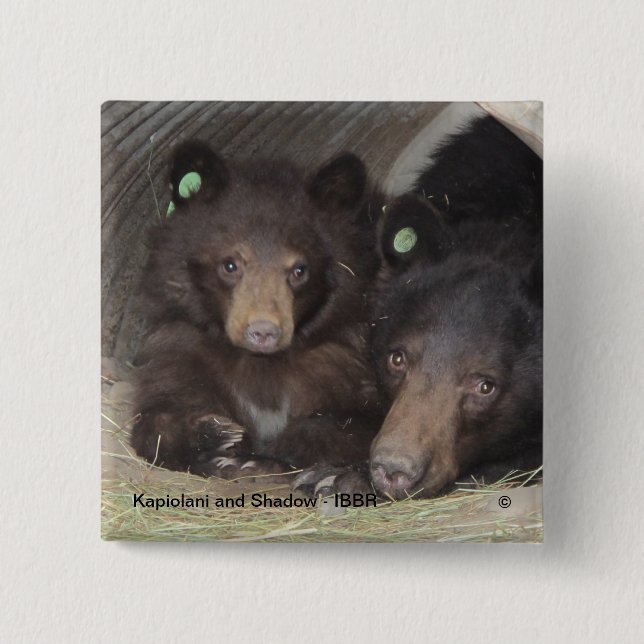 Kapiolani und Schatten - quadratischer Knopf Button (Vorderseite)