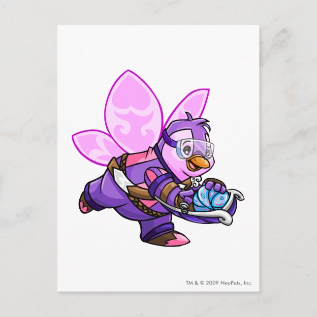 Kapitän 2 postkarte (Vorderseite)