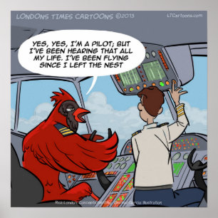 Kapitän Byrd Kardinalpilot Fliegt Jet Lustiges Pos Poster