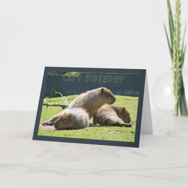 Kapitän Geburtstag - Capybara Geburtstagskarte Karte (Vorderseite)
