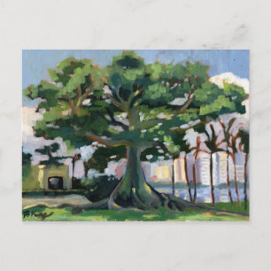 Kapok Tree Postcard Postkarte