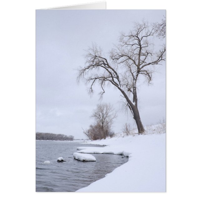 Kaposia Landung im Winter (Vorne)