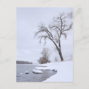 Kaposia Landung im Winter Postkarte