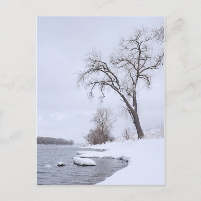 Kaposia Landung im Winter Postkarte (Vorderseite)