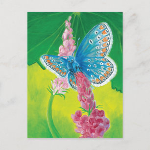 Kappmans-Blauer Schmetterling (Polyommatus-Heilkrä Feiertagspostkarte