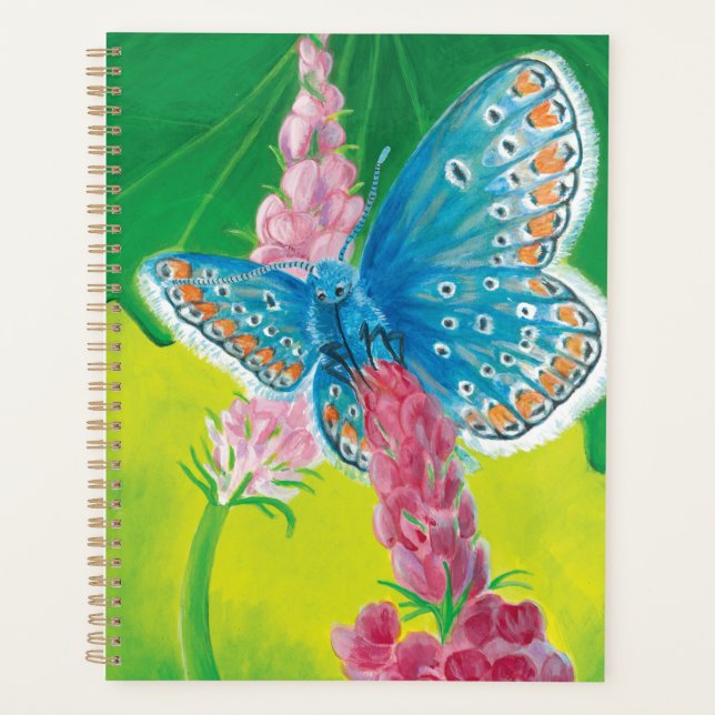 Kappmans-Blauer Schmetterling (Polyommatus-Heilkrä Planer (Vorderseite)