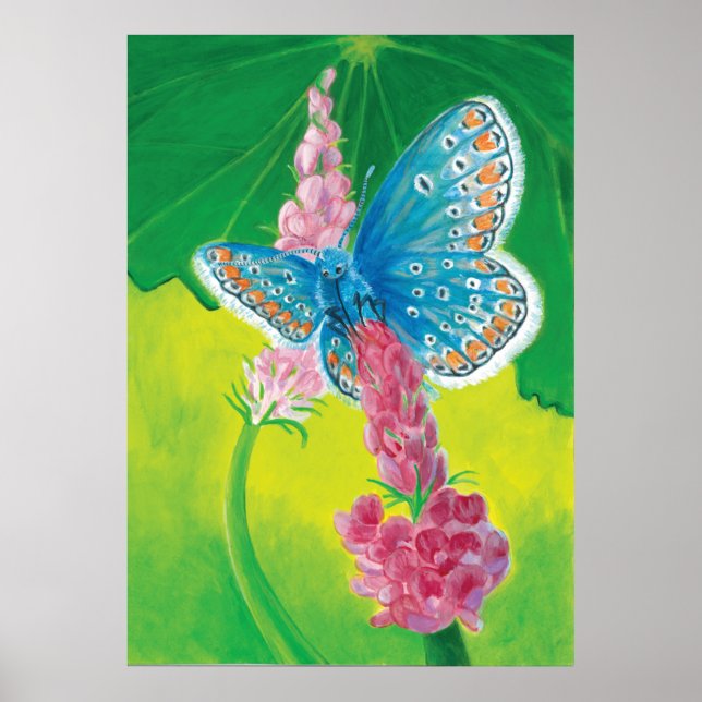 Kappmans-Blauer Schmetterling (Polyommatus-Heilkrä Poster (Vorne)