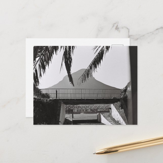 Kapstadt Löwen Leiter Südafrika ZA Postkarte (Vorderseite/Rückseite Beispiel)