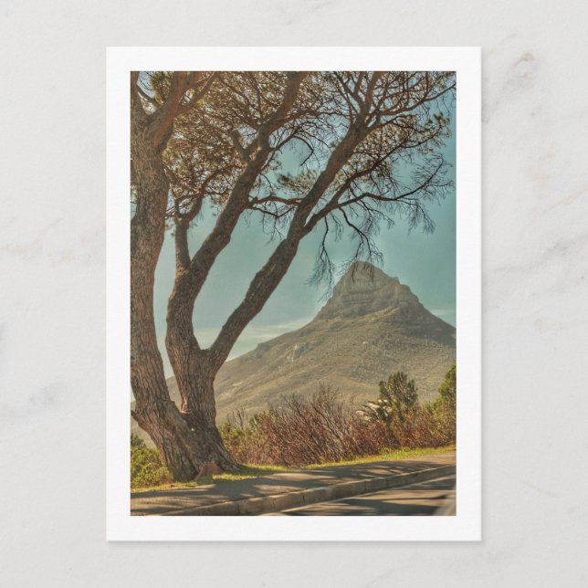Kapstadt Löwenkopf Landschaft Südafrika Postkarte (Vorderseite)