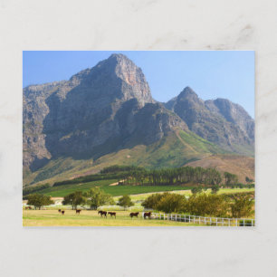 Kapstadt, Westkap, Südafrika Postkarte